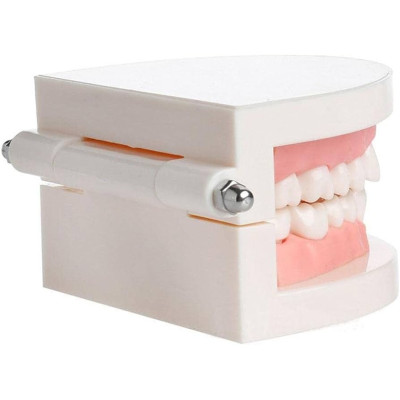 Tooth Gem Practice Model – Training Display Base