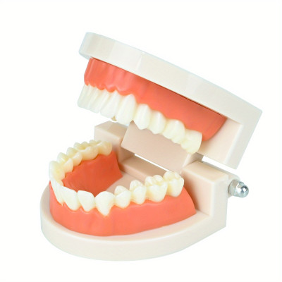 Tooth Gem Starter Kit XL Deluxe – Full Set