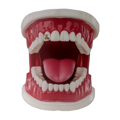 Witgouden tooth gem Kersen – witgouden cherry look