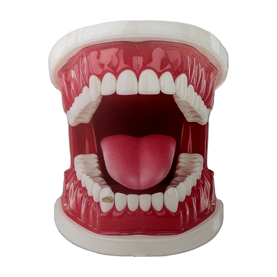 Bijou dentaire en or 18ct arête de poisson – bijou marin