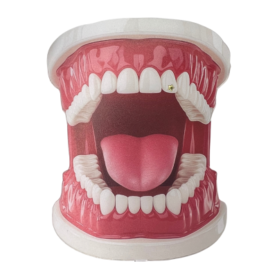 Gold Tooth Gem Tiny Star 22ct – Mini Dental Accent
