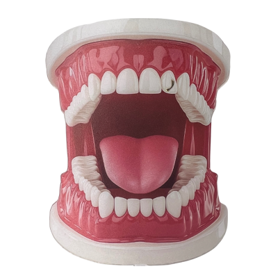 Witgouden Tooth Gem Vallende Ster – witgouden shooting star