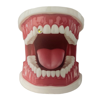 Gouden tooth gem maan – 22 kt puur goud