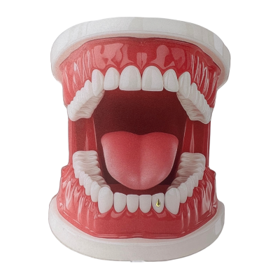 Witgouden tooth gem druppel – teardrop look