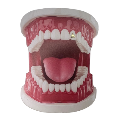 Witgouden tooth gem Boot – maritiem ontwerp witgoud