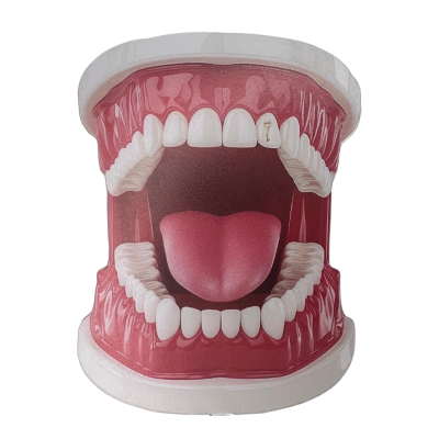 Witgouden tooth gem Sleutel – key heart witgoud