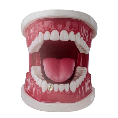 Witgouden tooth gem Dollar II – money stijl witgoud