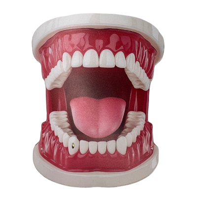 Gouden hoektand outline mini – 18 kt canine mini