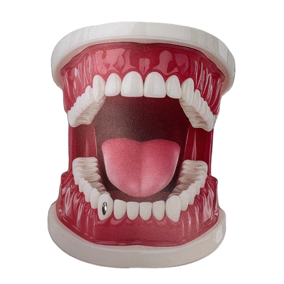 Gouden tooth gem Hoektand Outline – 18 kt canine design