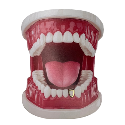 White Gold Tooth Gem Hollow Tooth 18ct – Tooth Outline Shape