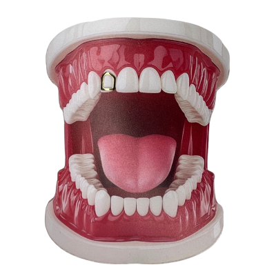 Witgouden tooth gem Tand Outline XL – large tooth outline