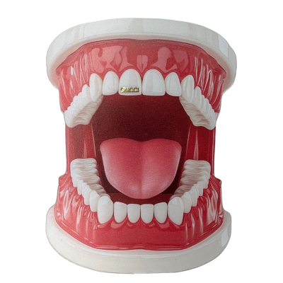 Witgouden tooth gem Gucci – witgouden designer gem