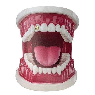 Gold Tooth Gem Cat 18ct – Cat Shape Dental Accent