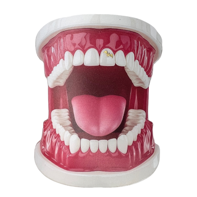 Witgouden tooth gem Vleermuis – bat design witgoud